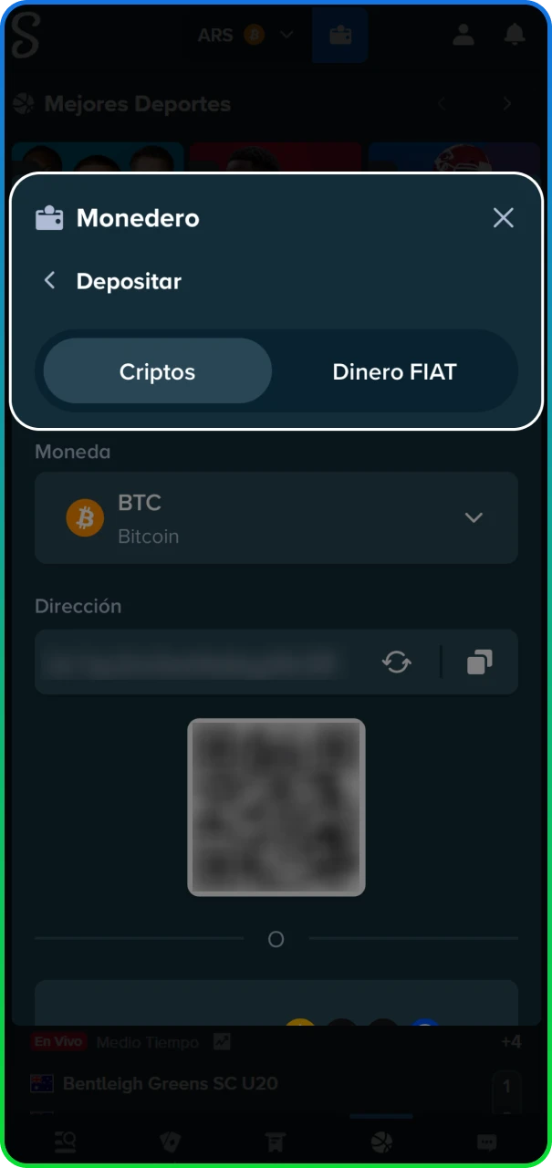 Selección de opciones de depósito y retiro en el sitio oficial de Stake.